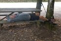Sieste